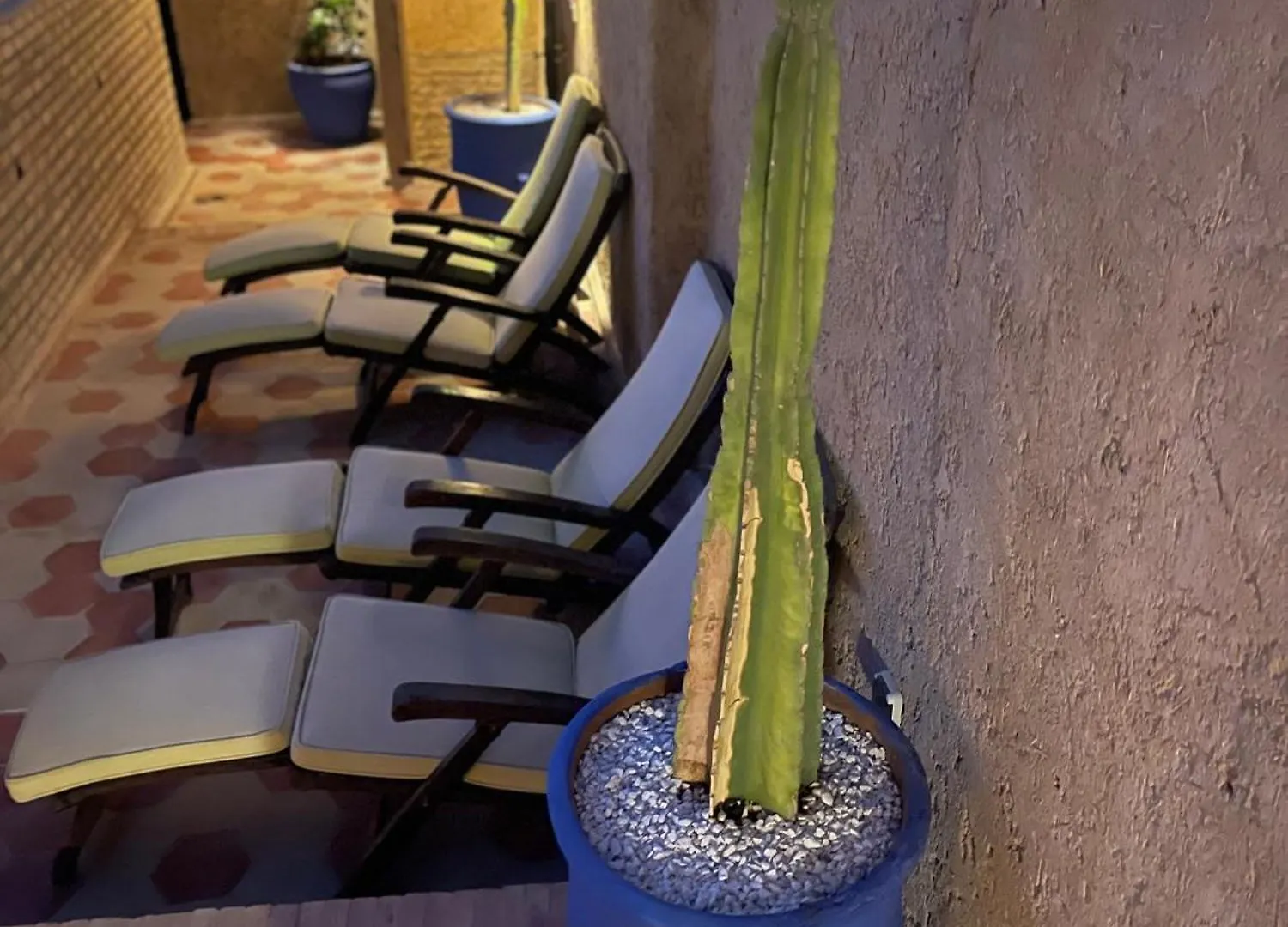 La Maison Berber Shams Marrakesh